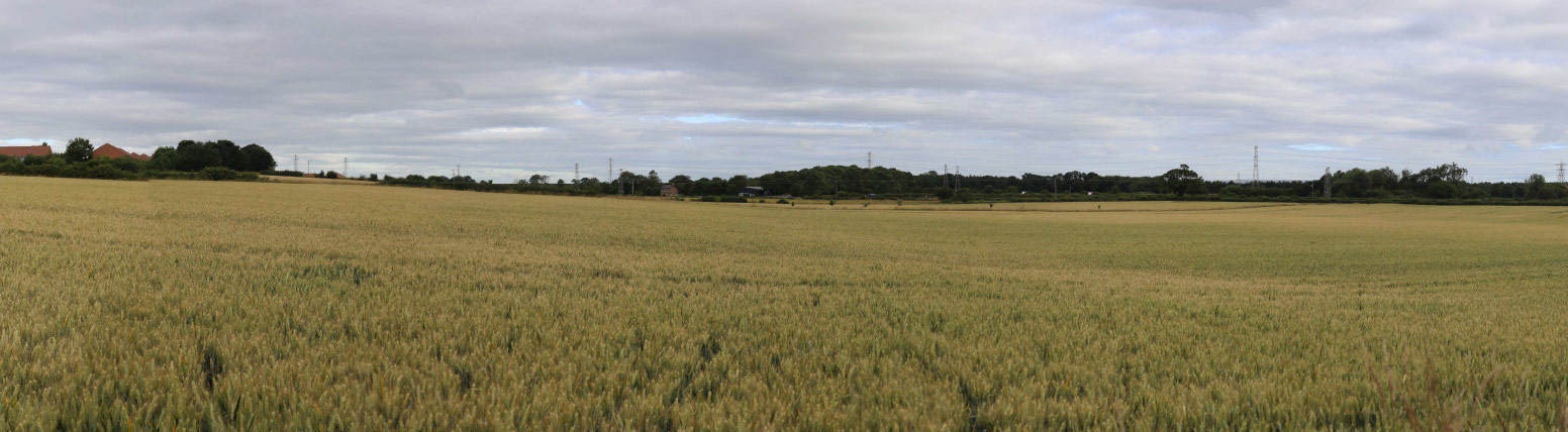 existing view looking north west