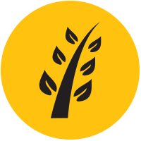 green belt icon