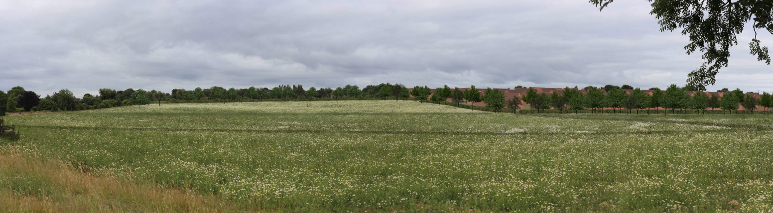 proposed view looking south west